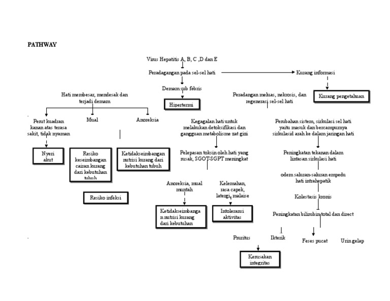 Pathway hepatitis