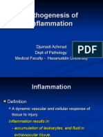 Pathogenesis of Inflammation: The Five Signs and Mediators