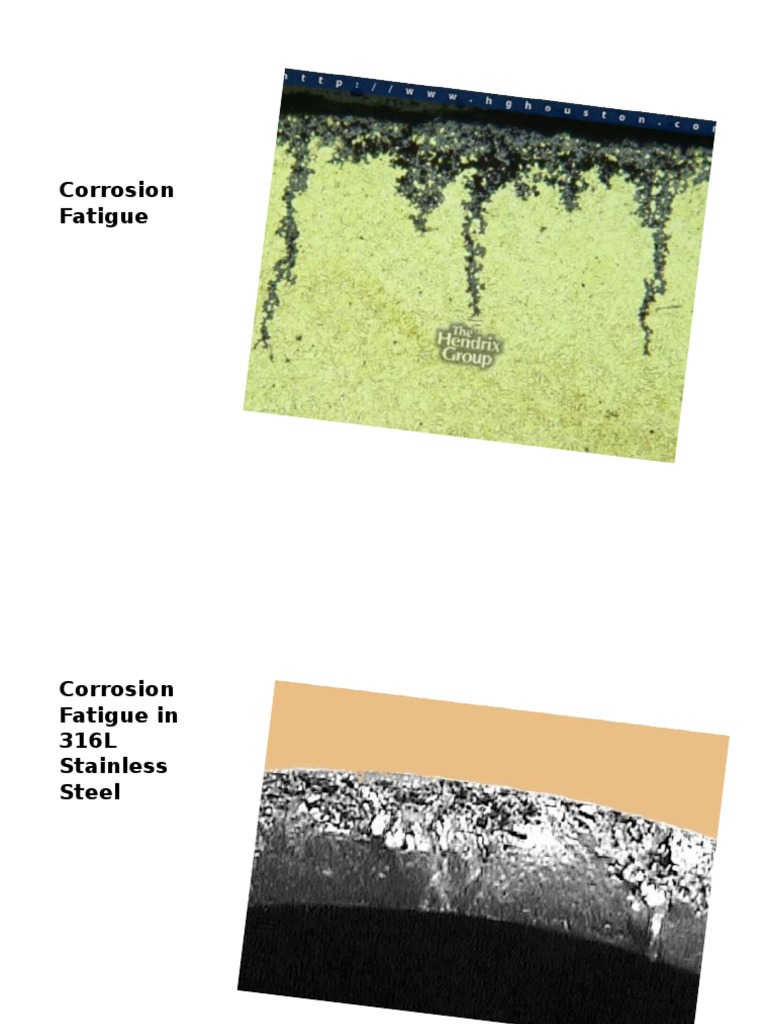 Corrosion Fatigue in 316L Steel and Copper | PDF | Social Science