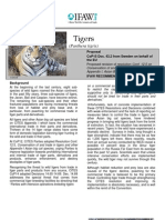 IFAW "Tigers" Briefing Sheet - COP15 - CITES