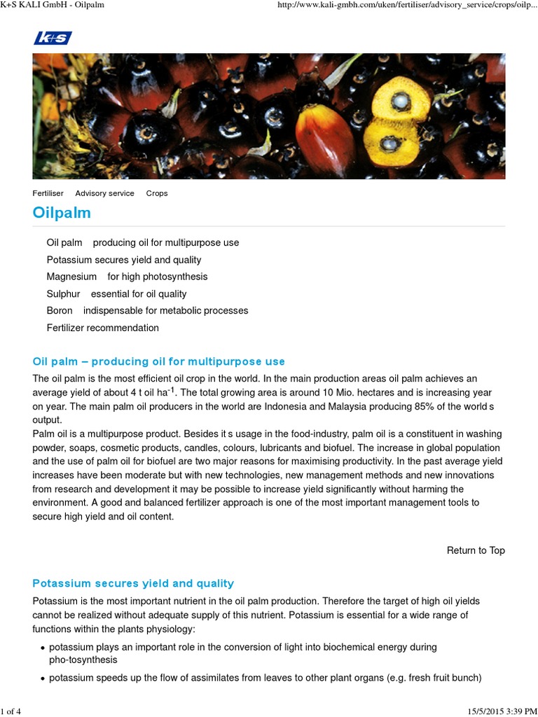 oil palm | Photosynthesis | Metabolism