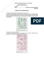 Francisco Smith B-Tarea 5-Preguntas Tejido Oseo