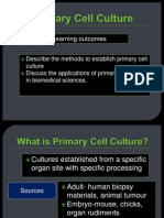 Primary Cell Culture 2013 020914