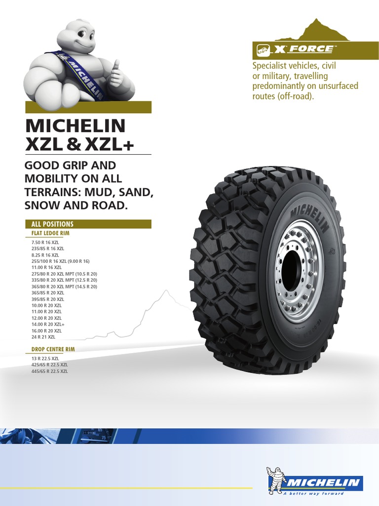 MICHELIN TIRE SUPPORT MICHELIN CUSTOMER SUPPORT intelligence overview