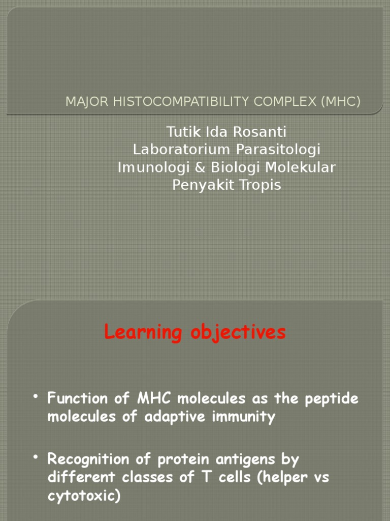 Major Complex (MHC) PDF MHC Kelas I Kompleks