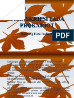 Transkripsi Pada Prokariot