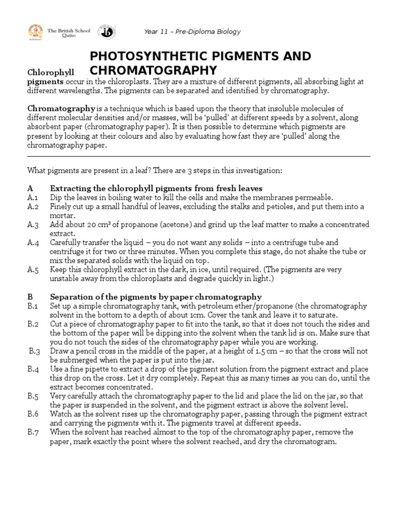 Paper Chromatography for Photosynthetic Pigments Chromatography