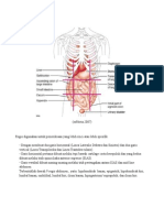 Regio Pada Abdomen