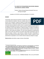 Relação Entre Podas e Aspectos Fitossanitários em Áreas Urbanas