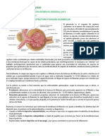 Clase 3 - Glomerulopatías Universidad de Talca