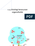 Patofisiologi Keracunan Organofosfat