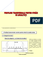 4.1. Sectiuni Transversale