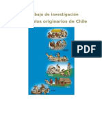 Pueblos Originarios de Chile