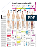 clasificacion de cuerpos humanos