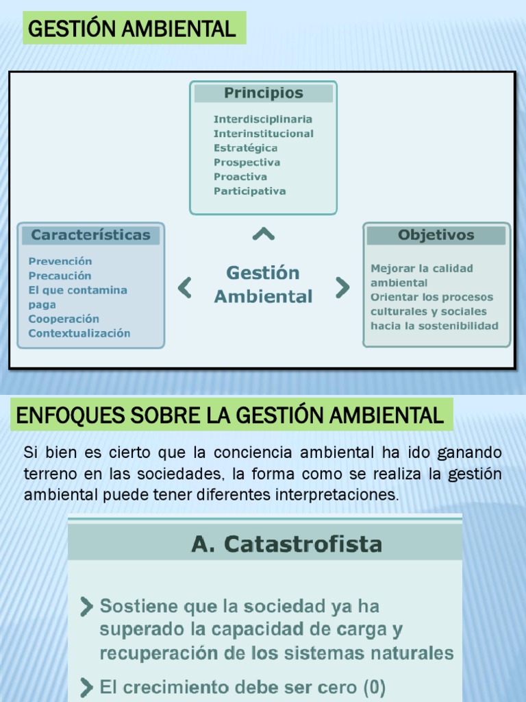 Enfoques y Principios de Gestión Ambiental | PDF | Entorno natural ...