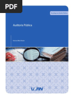 Aud_Pub_livro_D_WEB (1).pdf