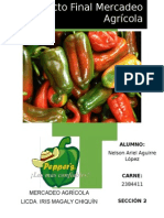 Mercadeo Agricola Chile Pimiento