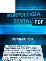 morfologia dental