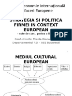 Strategia Firmei in Context Cultural