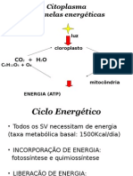 Respiraçao e Fotossintese-2