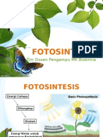 Fotosintesis