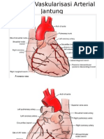 Anatomi Vaskularisasi Arterial Jantung