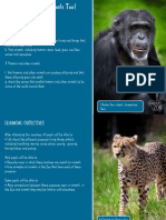 KS1 Animals Life Processes Zoo