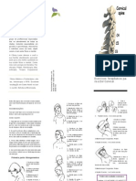 Cervical Alongamento