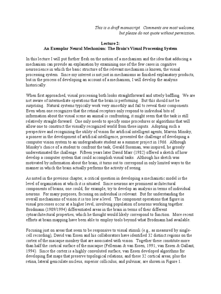 Understanding Brain Visual Processing | PDF | Visual Cortex | Occipital ...