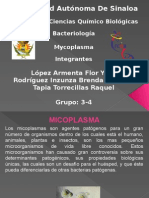 Micoplasma SPP