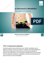 Integracion Del Metabolismo