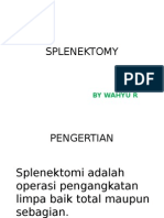 Pp Splenektomy