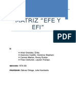 Matriz Efe y Efi...