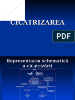 CICATRIZAREA-1