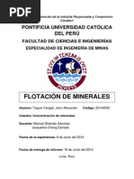 FLOTACIÓN DE MINERALES