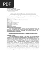 Aberrações_Cromossômicas