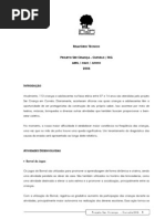 2006 Relatório Técnico Ser Criança Curvelo - MG (ABR-JUN-06)