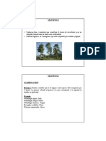 Teoria Madera Curso 02