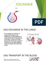 gas exchange ppt