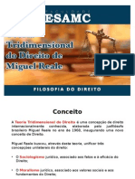 Apresentação TeoriaTridimensionalReale