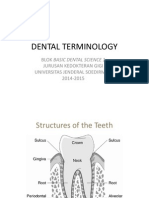 Dental Terminology DRG Bambang 2014-2015 PDF