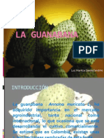 Foda de La Guanabana-120810161555-Phpapp02
