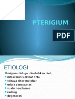 PTERIGIUM