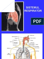 Sistemul Respirator prezentare