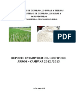 Reporte Evaluacion Arroz Santa Cruz 2013