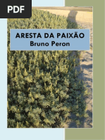 Bruno Peron - Aresta Da Paixão