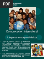 Comunicacion Intecultural Zierer - Copia