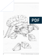 Docência Uma Construção a Partir de Múltiplos Condicionantes