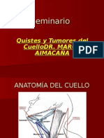 Seminario - Quistes y Tumores Del Cuello