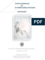 Principios Básicos de Osteología Aplicados A La Representación de La Figura Humana